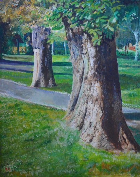 Tree 5